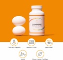 laminine---cellular-support-supplement-f-6.jpg