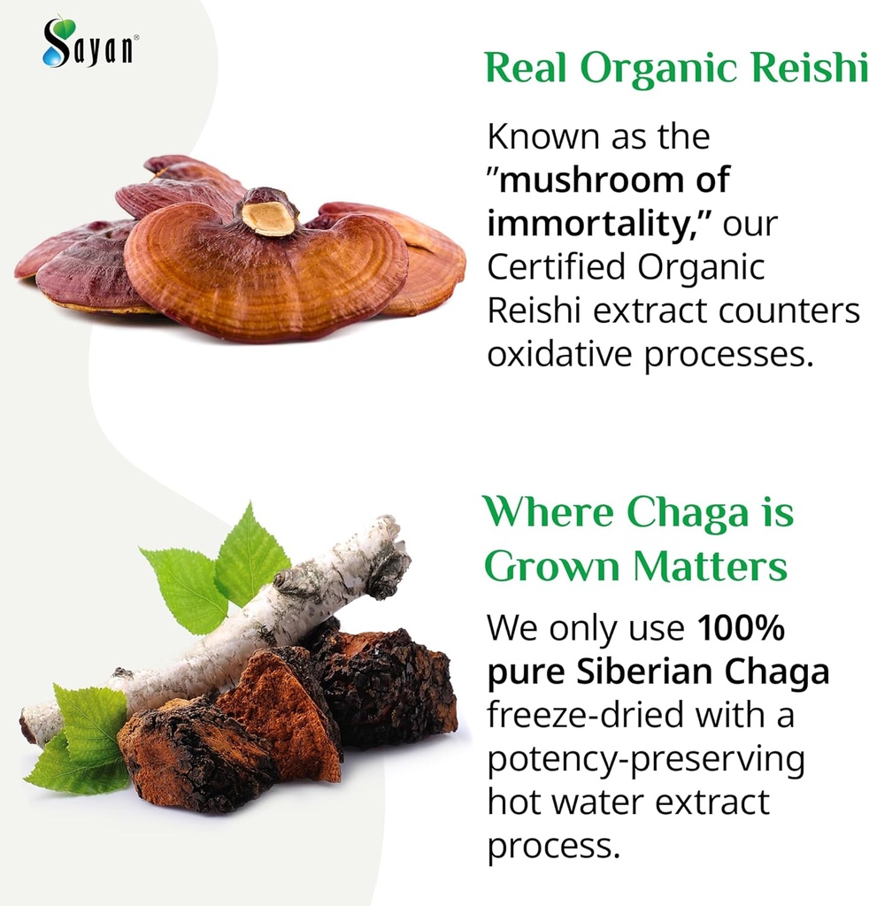 sayan-siberian-chaga-and-organic-reishi--4.jpg