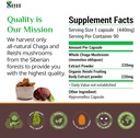 sayan-siberian-chaga-and-organic-reishi--6.jpg