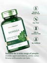 moringa-oleifera-240-capsules-non-gmo-an-4.jpg