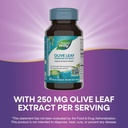 natures-way-olive-leaf-premium-extract-s-4.jpg