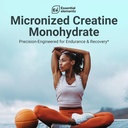 essential-elements-monohydrate-creatine--6.jpg