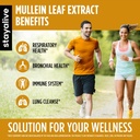 stay-alive-mullein-leaf-extract-1000mg-1-5.jpg