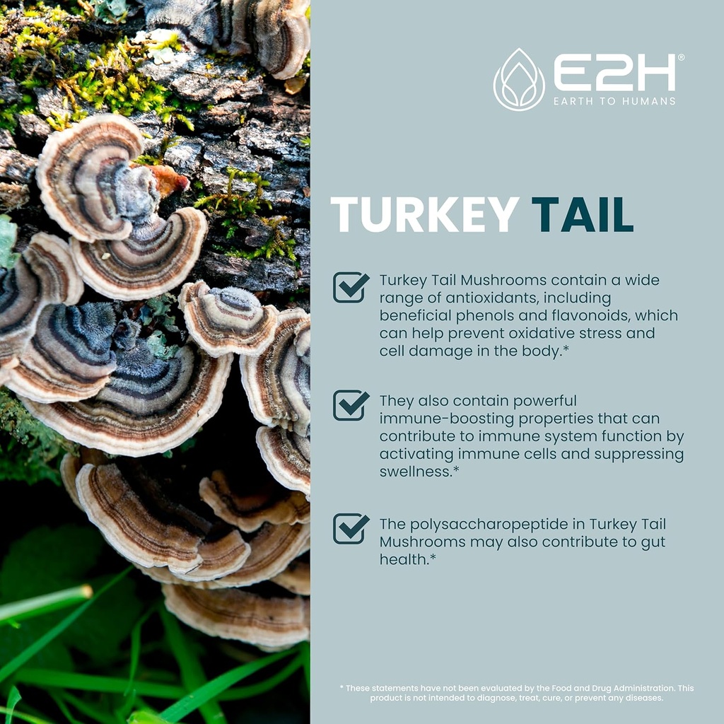 turkey-tail-mushroom-extract---faster-ab-3.jpg