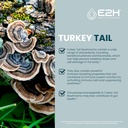 turkey-tail-mushroom-extract---faster-ab-3.jpg