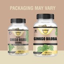 ginkgo-biloba-1800mg-ginkgo-biloba-organ-2.jpg