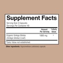 ginkgo-biloba-1800mg-ginkgo-biloba-organ-3.jpg