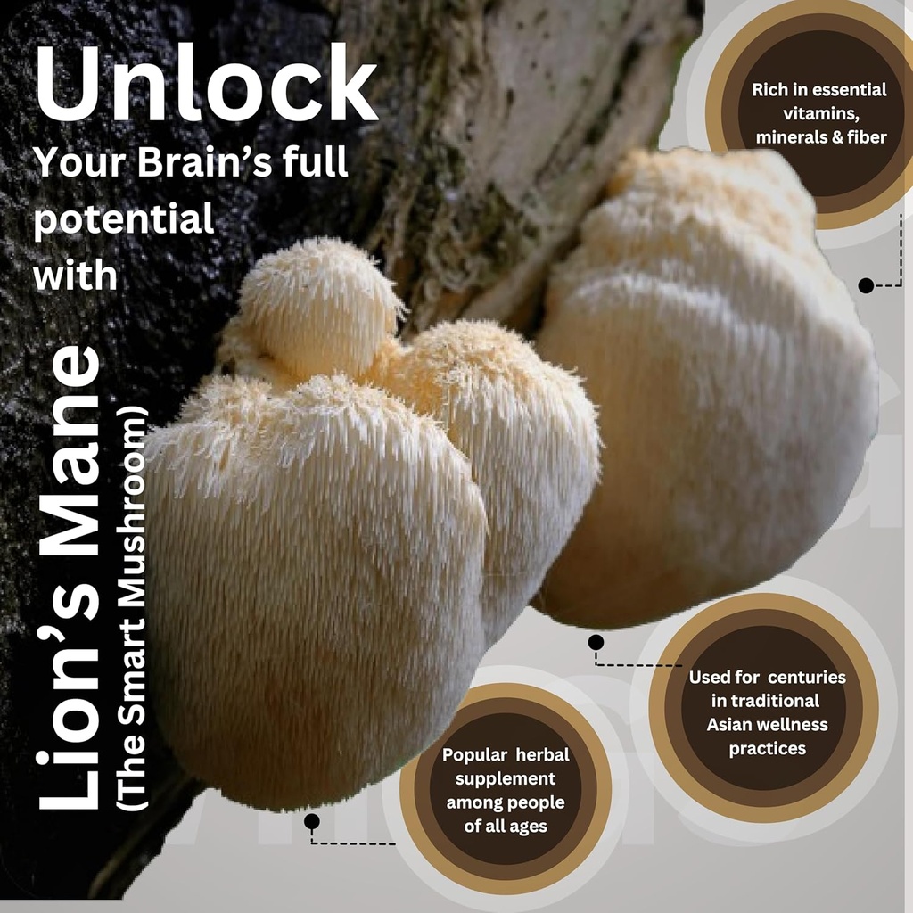 lions-mane-supplement-capsules-lions-man-5.jpg