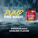bsn-no-xplode-cool-rush-pre-workout-powd-6.jpg