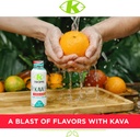 k-tropix-kava-shot-tropical-blast---500m-5.jpg