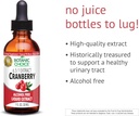 botanic-choice-alcohol-free-liquid-extra-2.jpg