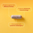 redd-remedies-true-energy-supports-energ-4.jpg