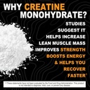 its-just---creatine-monohydrate-powder-p-4.jpg