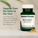 standard-process-inc-canine-whole-body-s-3.jpg