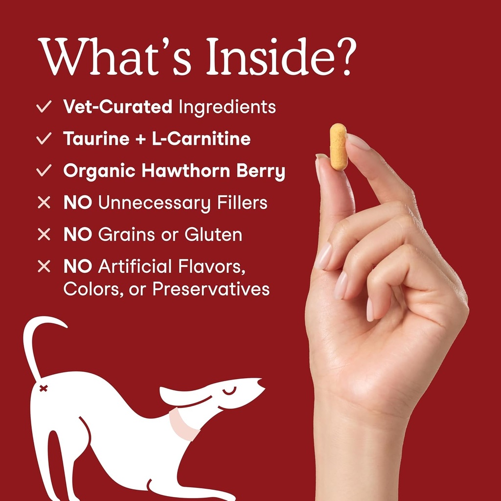 fera-pets-cardiac-support---cat-dog-hear-4.jpg
