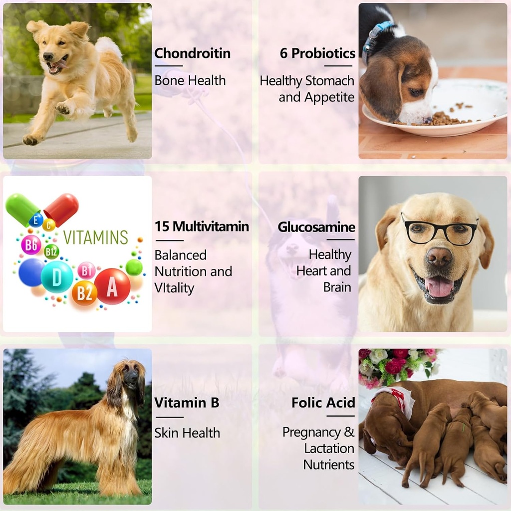 15-in-1-dog-multivitamin-drops-for-dogs--6.jpg