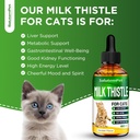 сat-kidney-support-milk-thistle-for-cats-2.jpg