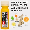 gngr-energy-booster-immunity-shot-cold-p-3.jpg