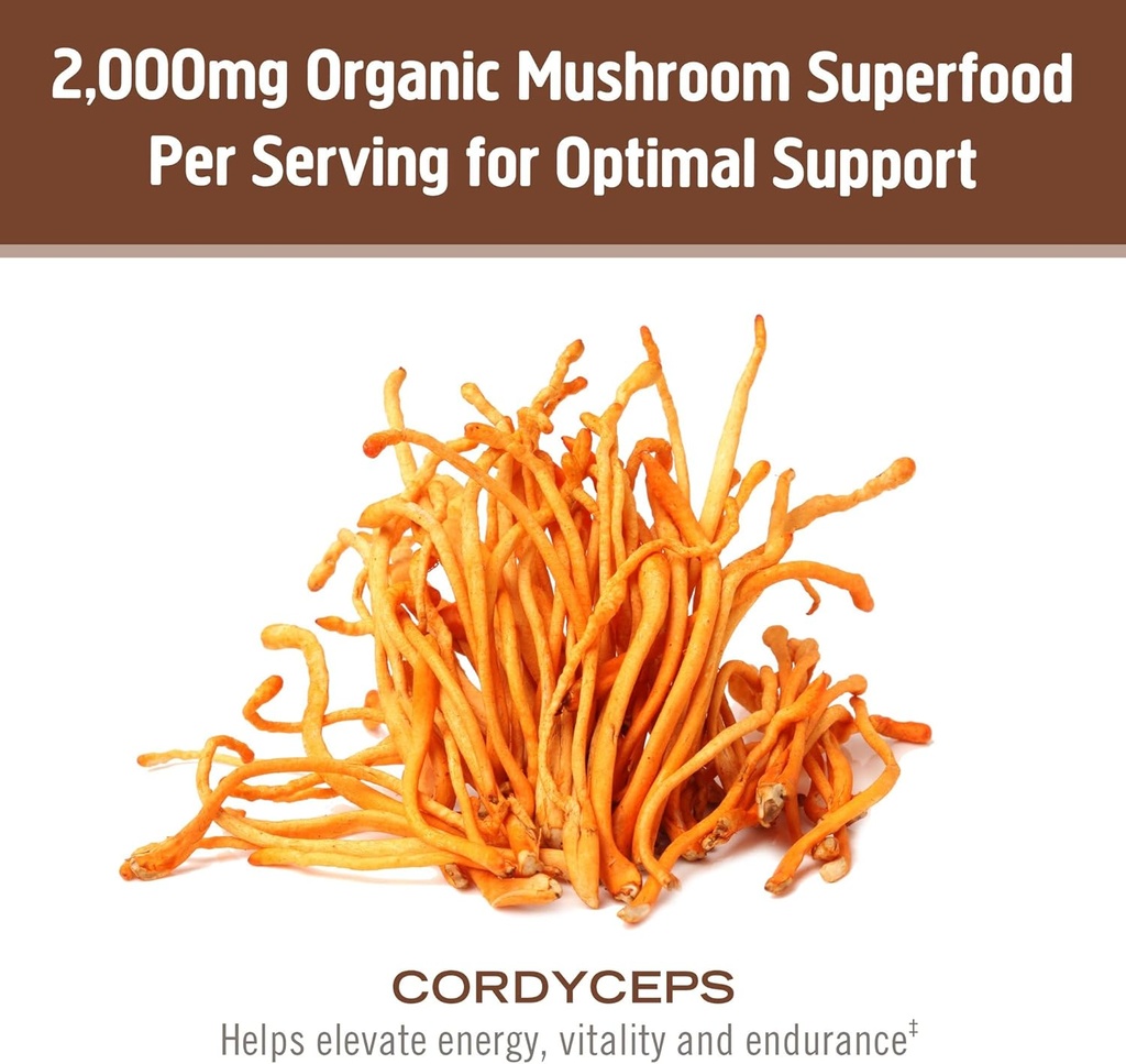 om-mushroom-cordyceps-powder-705-oz-100--4.jpg