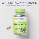 solaray-saw-palmetto-berry-580-mg-health-3.jpg