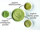 food-to-live-organic-supergrass-powder-b-6.jpg