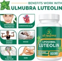 800-mg-liposomal-luteolin-supplement---m-5.jpg