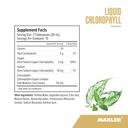 maxler-chlorophyll-liquid-mint-flavor----5.jpg