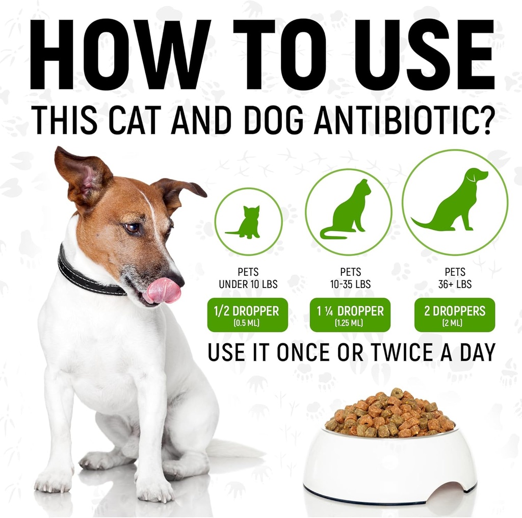 dog-antibiotics-with-chicken-flavor-сat--4.jpg