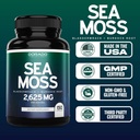 irish-sea-moss-capsules-2625mg-150-capsu-5.jpg