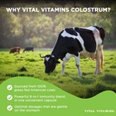 vital-vitamins-colostrum-supplement---vi-4.jpg