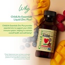 childlife-essentials-liquid-zinc-plus-fo-3.jpg
