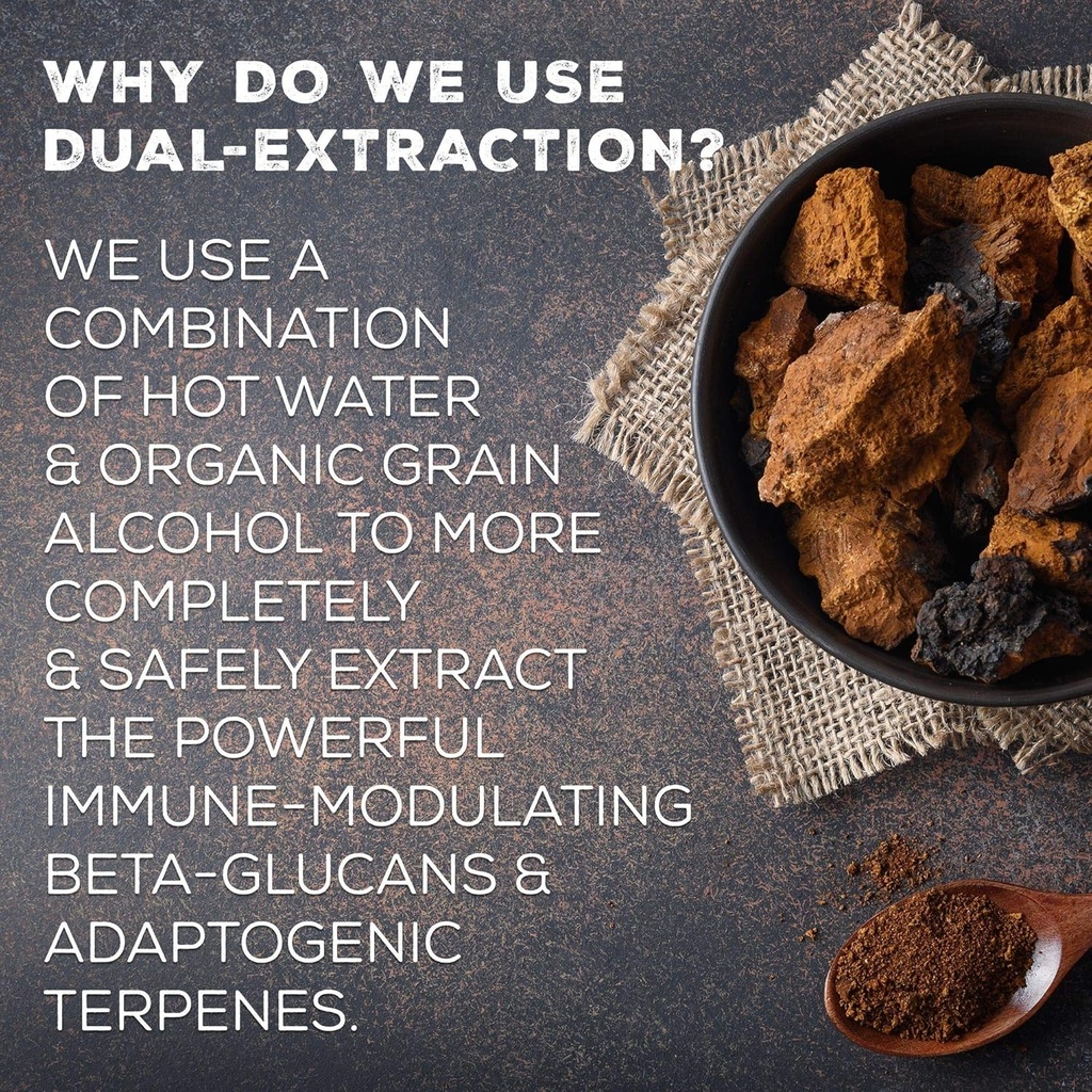 surthrival-chaga-mushroom-extract-forage-5.jpg