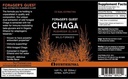 surthrival-chaga-mushroom-extract-forage-6.jpg