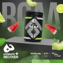 fossil-fuel-sugar-free-bcaa-powder-post--5.jpg