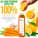 10-day-juice-cleanse-by-raw-fountain-all-5.jpg