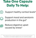 dailynouri-stress-support-probiotic-for--3.jpg