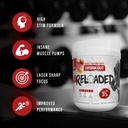5-nutrition-rich-piana-reloaded-high-sti-3.jpg