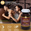 cordyceps-extract-and-black-ginger-suppl-5.jpg