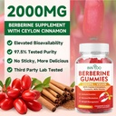 berberine-gummiessugar-free-2000mg-high--6.jpg
