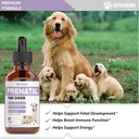 dog-prenatal-vitamins-prenatal-vitamins--3.jpg