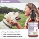dog-prenatal-vitamins-prenatal-vitamins--5.jpg