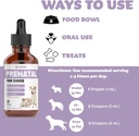 dog-prenatal-vitamins-prenatal-vitamins--6.jpg
