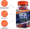 focus-factor-nootropic-gummies---memory--4.jpg