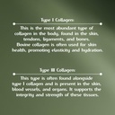 bovine-collagen-capsules-for-men-and-wom-4.jpg