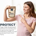 tiger-milk-mushroom-supplement-lignosus--5.jpg