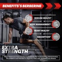 berberine-hcl-supplement-2000mg---suppor-4.jpg