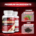 berberine-hcl-supplement-2000mg---suppor-5.jpg