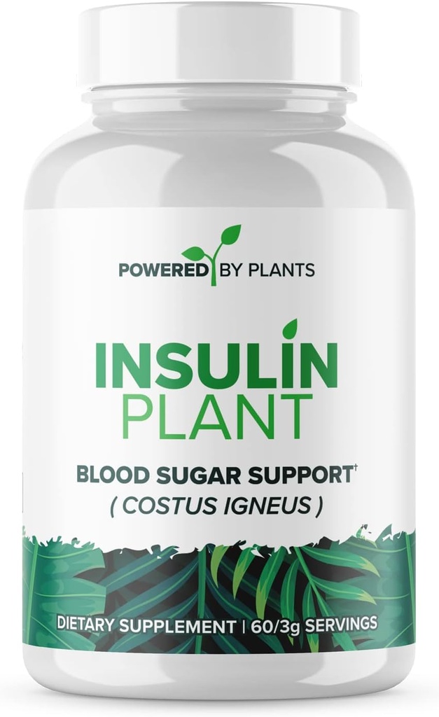 Insulin Plant Capsules - 3000mg Costus Igneus Leaf Powder with No Binders, Fillers & Gluten - Vegan, Non GMO Supplements for Women & Men by Powered X Plants, 240 Capsules