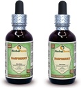 Raspberry (Rubus Idaeus) Glycerite, Organic Dried Leaves Alcohol-Free Liquid Extract (Brand Name: HerbalTerra, Proudly Made in USA) 2x2 fl.oz (2x60 ml)