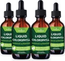 NEW AGE Chlorophyll Liquid Drops - Natural Concentrate – Energy Booster, Digestion and Immune System Supports, Internal Deodorant, Liver Function - (2 Fl Oz (Pack of 4))